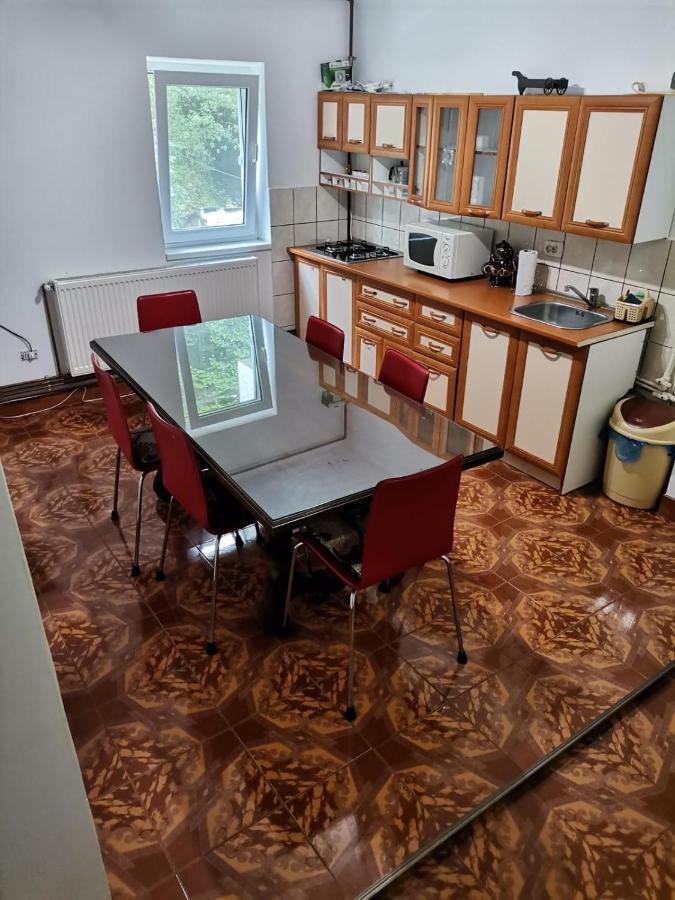 Apartament Nemira สลานิก-มอลโดวา ภายนอก รูปภาพ