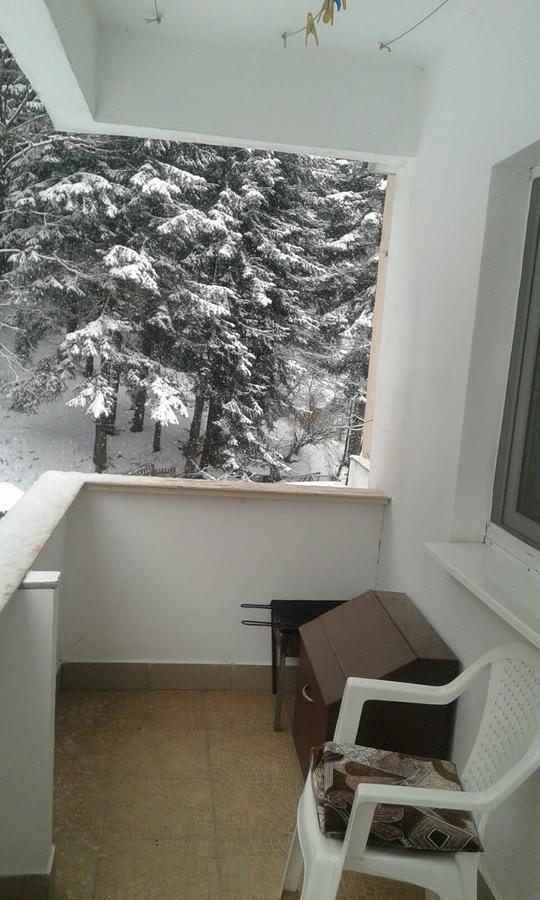 Apartament Nemira สลานิก-มอลโดวา ภายนอก รูปภาพ